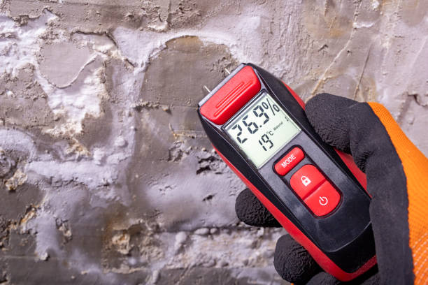 Best Mold Testing  in Odessa, TX