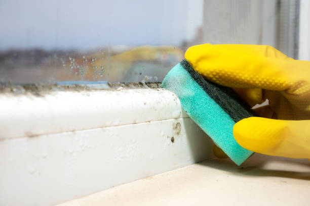 Best Mold Cleaning Services  in Odessa, TX