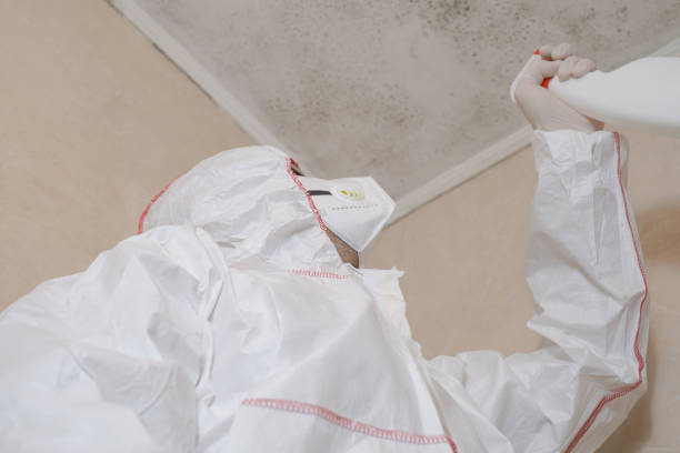 Crawl Space Mold Removal in Odessa, TX