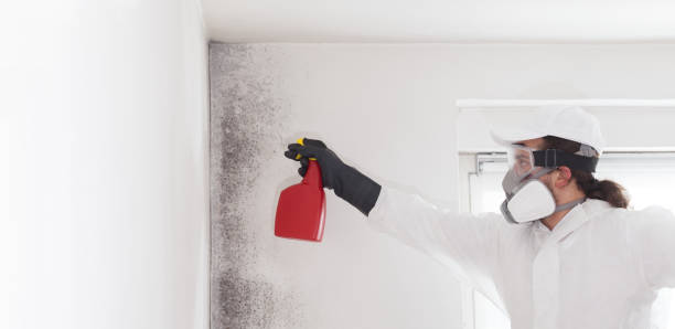 Best Mold Cleaning Services  in Odessa, TX
