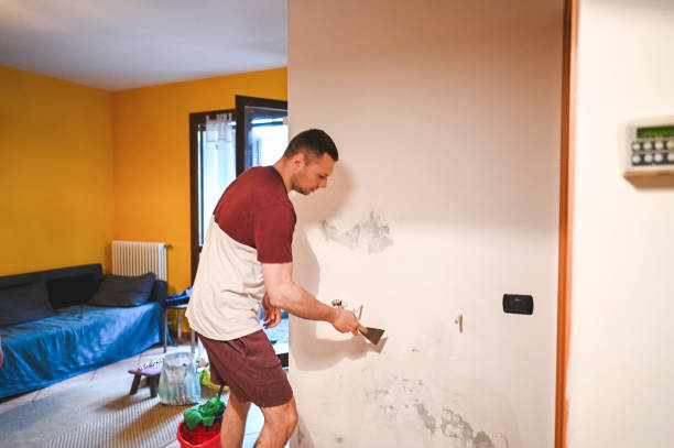 Best Mold Remediation Services  in Odessa, TX