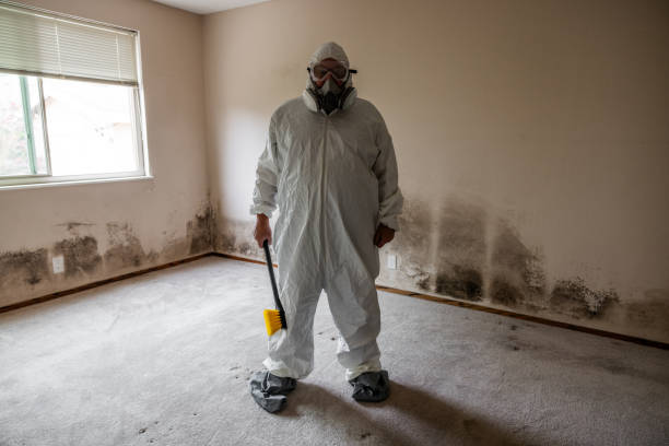Best Professional Mold Removal  in Odessa, TX